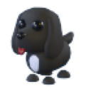 Royal Palace Spaniel